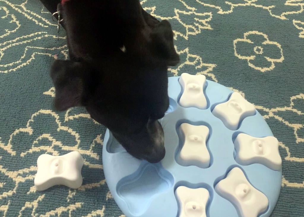 TRIXIE Dog Activity Hide N' Slide, Level 2, Strategy Game, Dog Puzzle,  Treat Dispenser