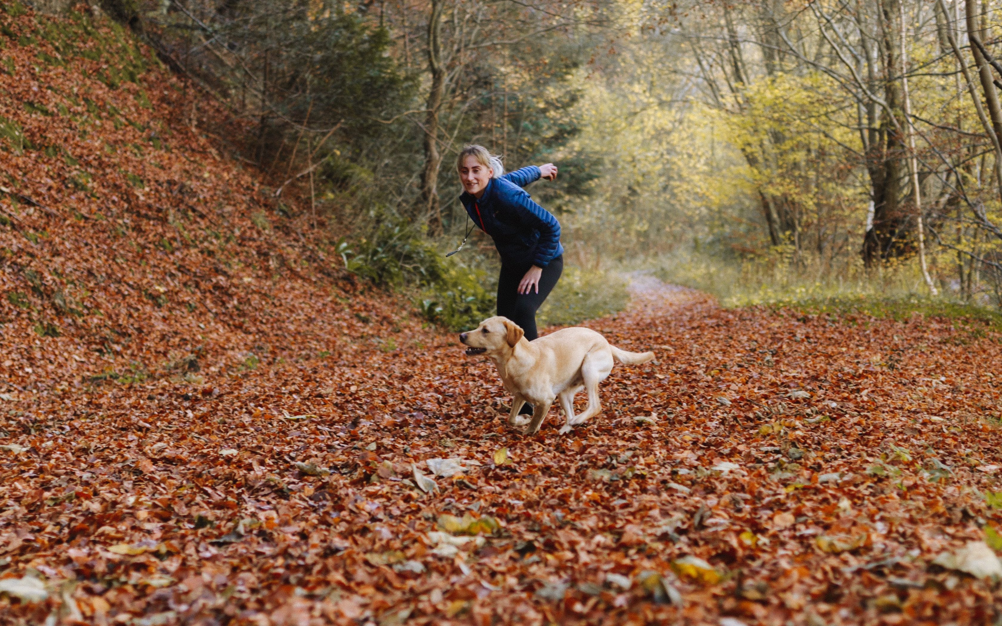 dog and female owner in leaf filled forest. Owner is getting ready to throw ball