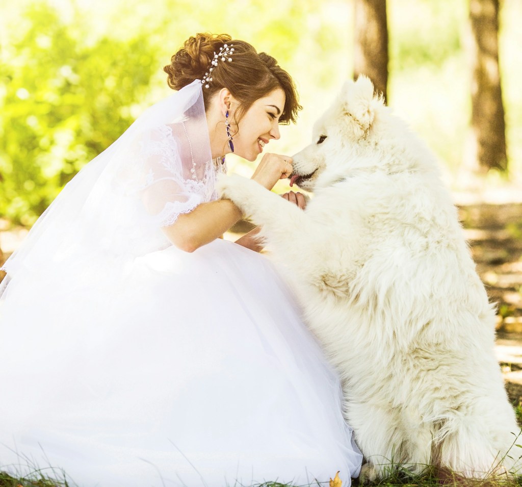 Paws & Vows: Including Your Dog in Your Wedding Celebration